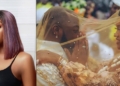 Breaking: Davido's fiancee, Chioma, tests positive for Coronavirus