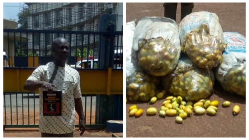 Man arrested for poisoning 143 bags of garden eggs in Enugu