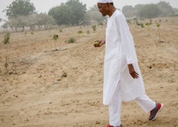 PHOTOS: Streets deserted in Buhari's hometown, Daura as lockdown takes effect