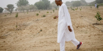 PHOTOS: Streets deserted in Buhari's hometown, Daura as lockdown takes effect