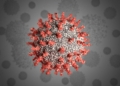 Coronavirus can spread through sex