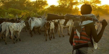 Suspected herdsmen abduct nine passengers in ondo, demands N100m ransom