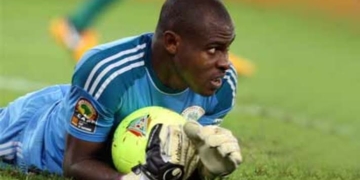 Enyeama takes up coaching role at French lower league club, Iris