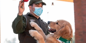 Chilean Police train dogs to sniff out Coronavirus