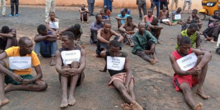 Adamawa Police parade 33 kidnappers,10 robbery suspects