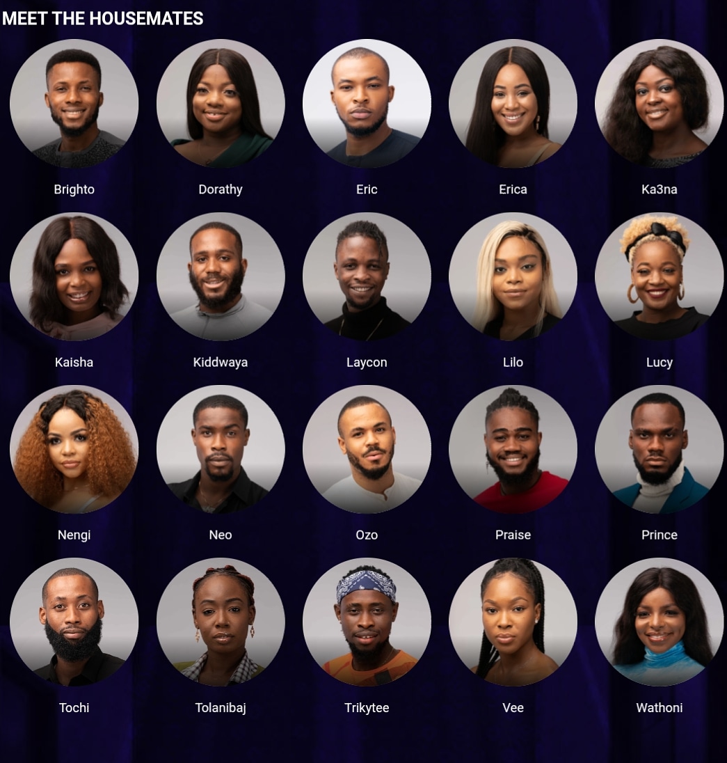 BBNaija 2020 Housemates Unveiled Meet All 20 Of Them