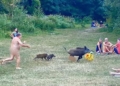 Photos: Naked German man chases wild boar that stole his laptop