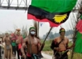 Police arrest IPOB herbalist, 67 other members in Imo