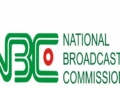 NBC slams heavy fine on Nigeria Info over Mailafia’s Boko Haram comment