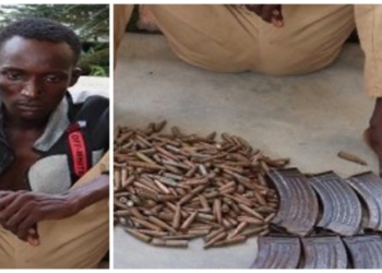 Police arrest transporter with 375 rounds of ammunition in Niger state