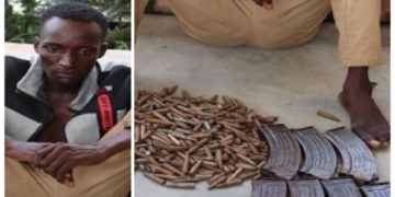 Police arrest transporter with 375 rounds of ammunition in Niger state