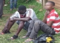 Two men arrested after being caught engaging in homosexual act