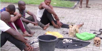 Five suspected Cultists arrested with human skulls in Cross River