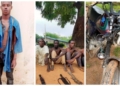 OPERATION SAHEL SANITY: Troops neutralise, arrest suspected bandits and rescue kidnap victims