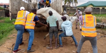 Lagos state govt dismantle illegal abattoirs; seize cow and butchered meat (photos)