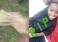 7-year-old girl slaughtered by unknown woman for ritual purpose while hawking brooms in Jos