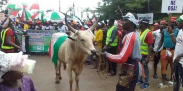 Edo 2020: Butchers endorse Obaseki for 2nd term