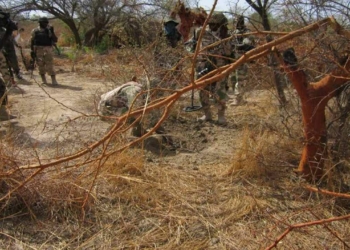 Several bandits killed as troops raid Kaduna forest