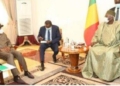 MALI CRISIS: Designated interim president meets Jonathan on eve of swearing-in