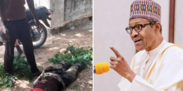 Protester asking Buhari, Katsina governor to resign over banditry is shot dead by police, many others injured