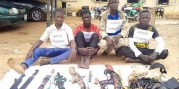 PHOTOS: Police arrest seven-man gang of dare-devil robbers for terrorising Adamawa communities